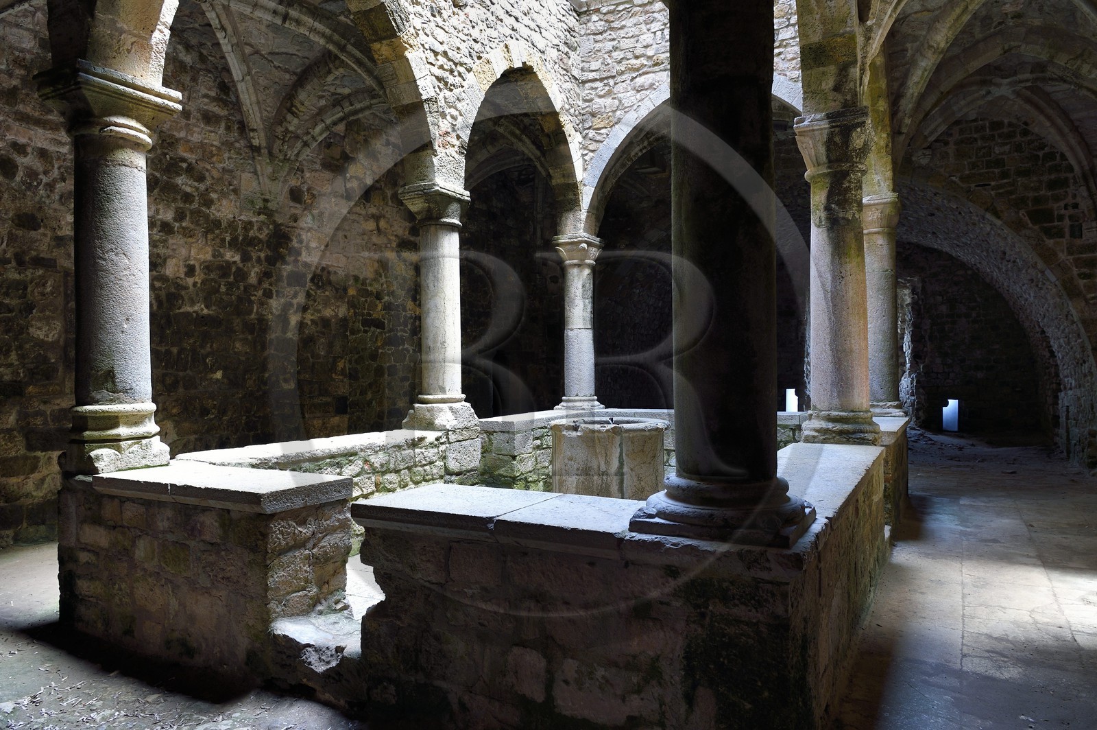 France, Alpes-Maritimes (06), Cannes, Iles de Lérins, Ile de Saint-Honorat, Abbaye de Lérins, le cloitre inférieur dit de travail du XIVème siècle de l'ancien monastère fortifié élevé en 1073