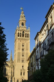 Spain, Andalusia, Seville, Santa Cruz district, the Giralda, former minaret almohade of the great Mosque reconverted into the bell tower of the cathedral, listed as World Heritage by UNESCO