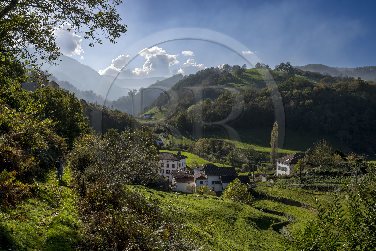 France, Pyrénées-Atlantiques (64), Pays-Basque, vallée des Aldudes, randonneur sur un sentier menant au village d'Urepel