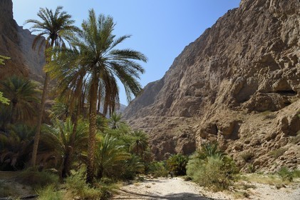 Sultanate of Oman, Ash Sharqiyah region, Bimmah, hiker in Wadi ash Shab