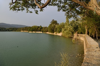 France, Vaucluse (84), Parc Naturel Regional du Luberon, La Tour d'Aigues, l'étang de la Bonde