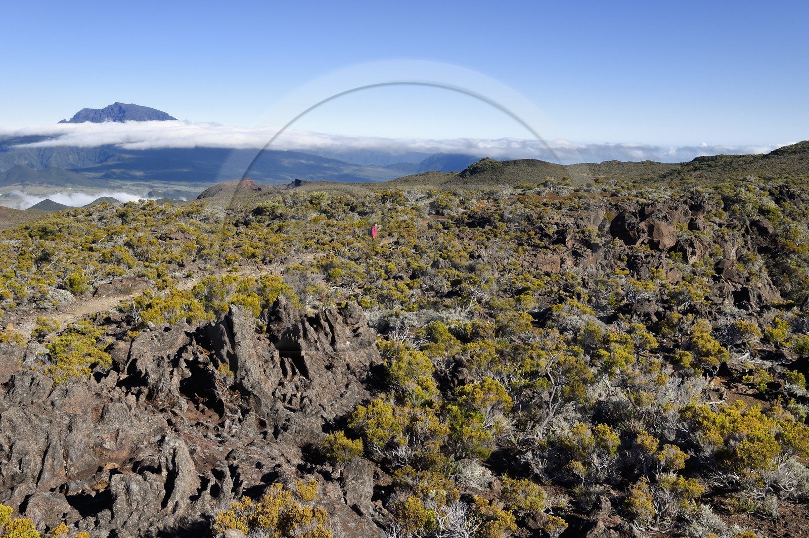 France, Ile de la Reunion, Parc National de la Réunion classé Patrimoine Mondial de l'UNESCO, sur les pentes du volcan de Piton de la Fournaise, randonneur sur le sentier de l'oratoire Ste Thérèse au dessus de la Plaine des Sables, le Piton des Neiges en arrière plan au nord