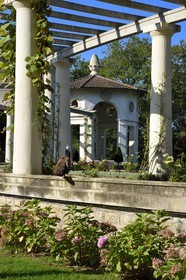 France, Pyrenees Atlantiques, Basque Country, Cambo les Bains, French-style garden of the Villa Arnaga, the French author Edmond Rostand's house and museum, peacock in front of the pergola