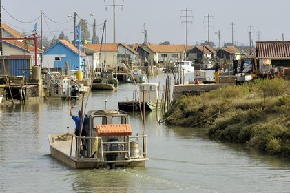 France, Charente-Maritime (17), Ile d'Oléron, le chenal d'Ors, chaland à huîtres dans le port ostréicole