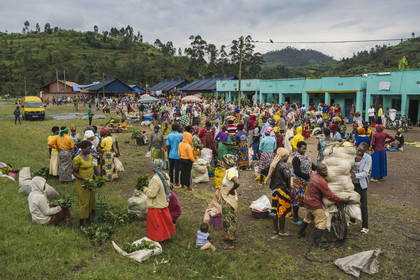 Rwanda, Province du Nord, District de Musanze (Ruhengeri), jour de marché à Muryabazira sur la Route Nationale 4 entre Kigali et Ruhengori, transport de gros sacs sur une bicyclette, les bicyclettes sont le principal moyen de transport local
