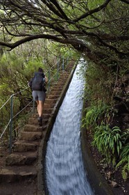 Portugal, Ile de Madère, randonnée dans La forêt de Rabaçal par la levada do Alecrim, un de ces innombrables canaux d'irrigation qui guident l’eau des hauts plateaux jusqu’aux terrasses cultivées du sud