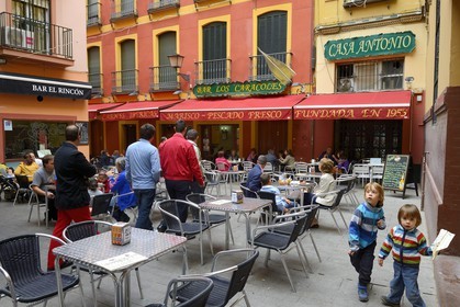 Spain, Andalusia, Seville, Santa Cruz district, tapas bar and restaurant on plaza Alfalfa