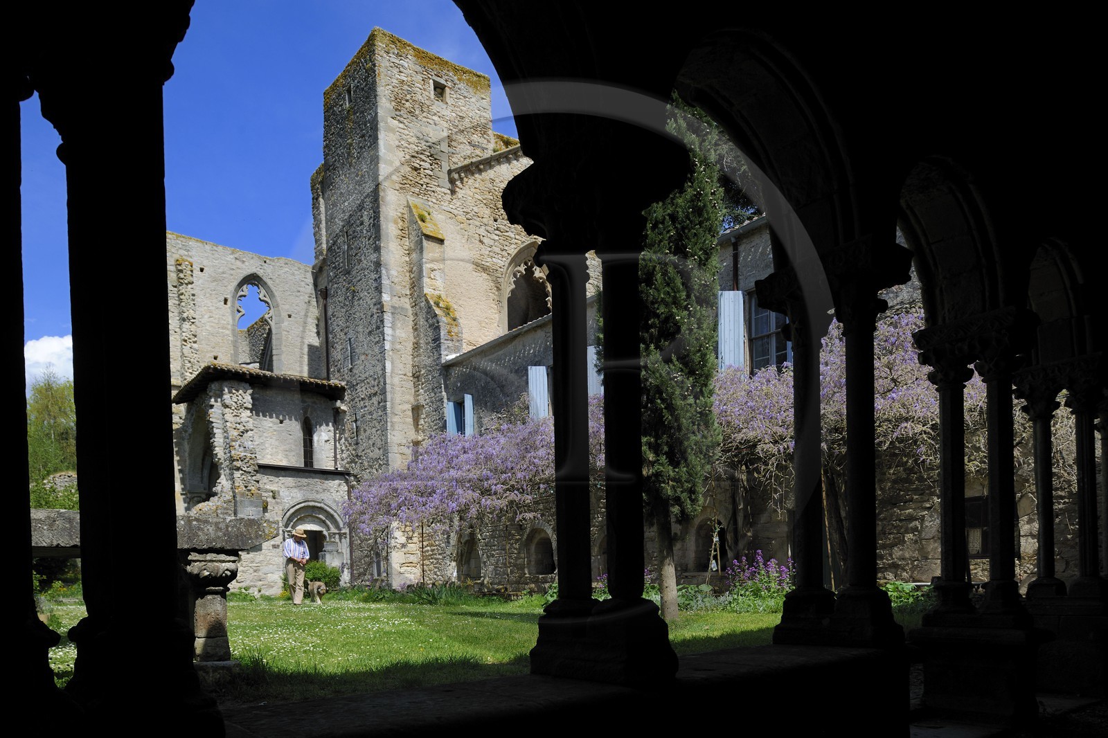 France, Aude, Saint-Martin-le-Vieil, the former Cistercian abbey of Villelongue and guesthouse, the former abbey church from the cloister