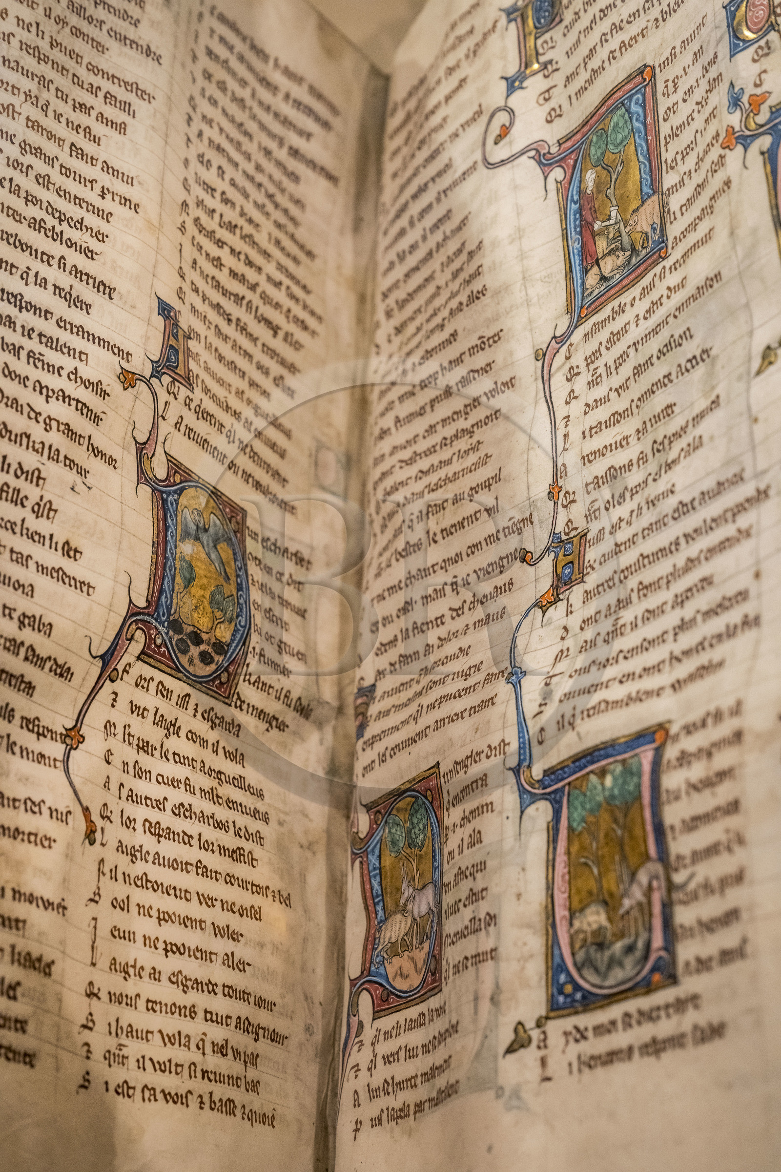 France, Paris (75), Bibliothèque Nationale de France, site Richelieu, Fables dans Recueil d'anciennes poésies française, manuscrit enluminé sur parchemin entre 1285 et 1292 (détail), Marie de France