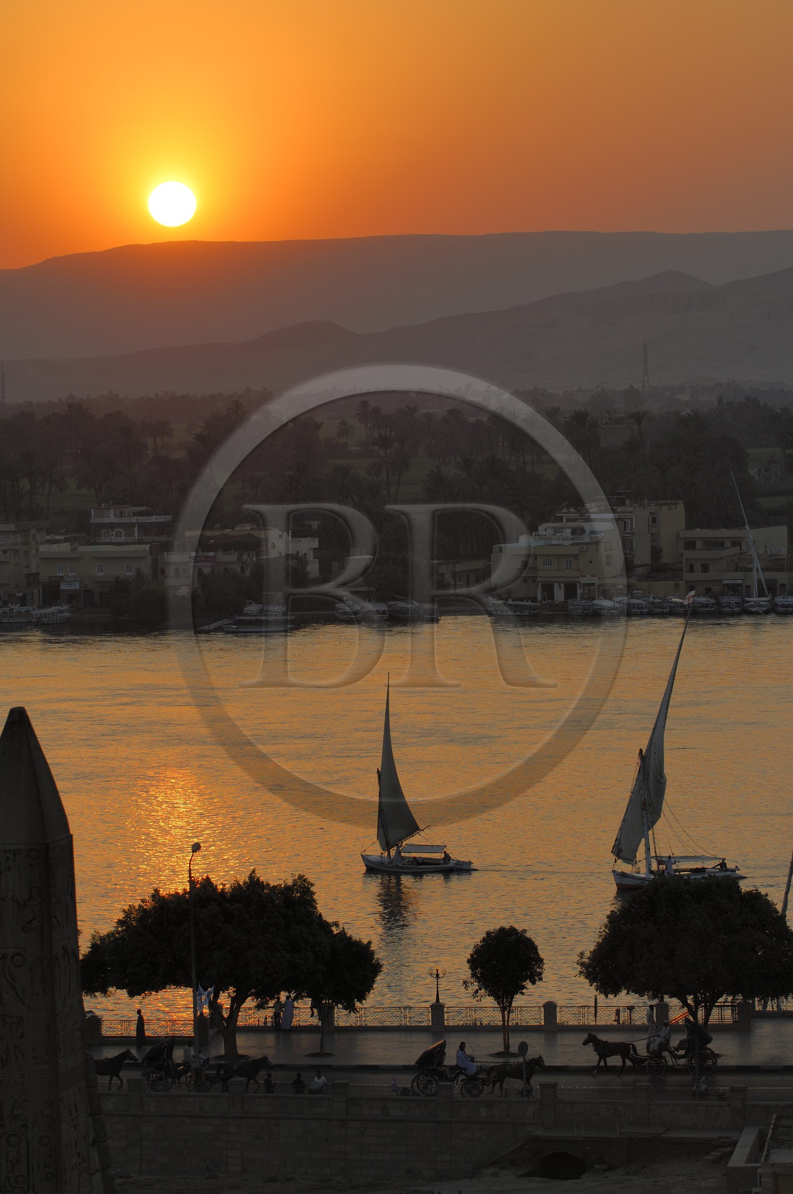 Egypte, Haute Egypte, vallée du Nil, Louxor, felouques sur le Nil