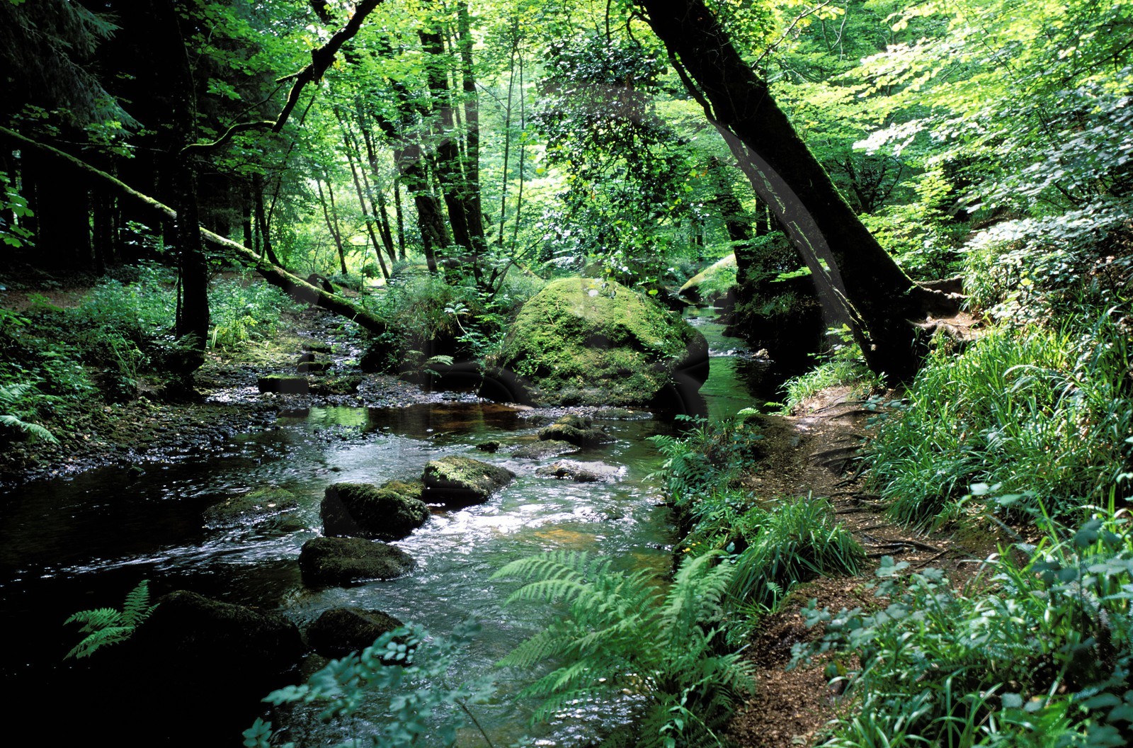 France, Finistère (29), Huelgoat, chaos de rochers, la rivière d'Argent dans la forêt
