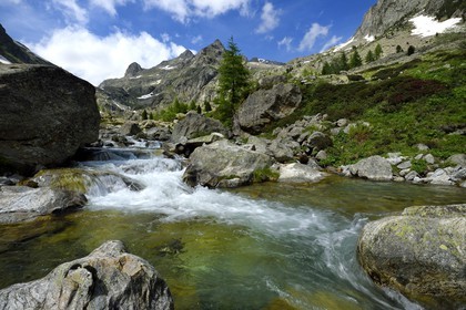France, Alpes-Maritimes, parc national du Mercantour ( Mercantour national park), Haute-Vesubie, Gordolasque valley