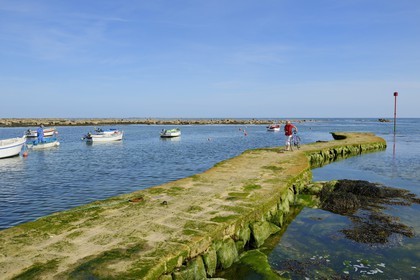 France, Finistere, Penmarch, Pointe de Penmarc'h, St Pierre Harbour