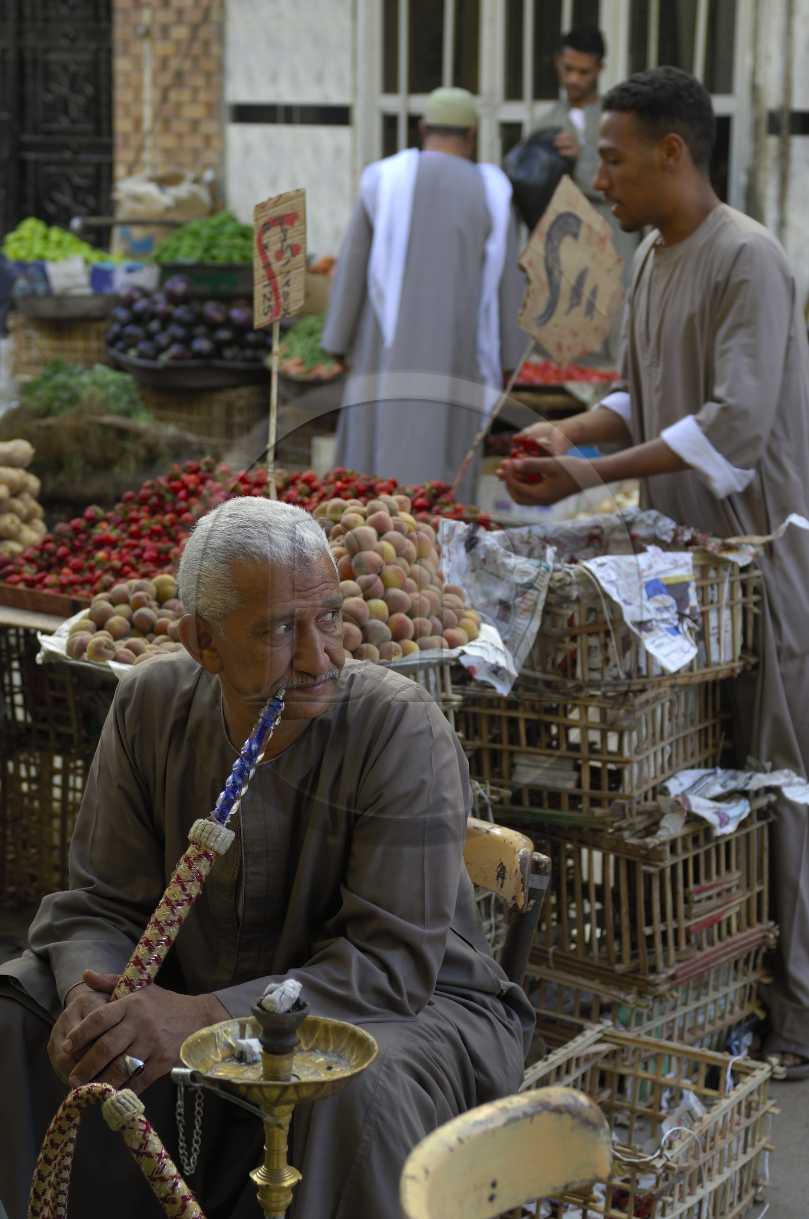Egypte, Haute Egypte, Nubie, vallée du Nil, Assouan, le souk, fumeur de narguilé Egypte, Haute Egypte, Nubie, vallée du Nil, Assouan, le souk, fumeur de narguilé