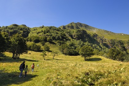 France, Cantal, France, Cantal, monts du Cantal, Parc Naturel Régional des Volcans d'Auvergne (regional nature park of Auvergne volcanoes), hiking at the bottom of the Puy-Mary mount (1783m)