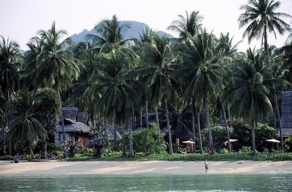 Thailand, Ko Pee Pee, Pee Pee Don island, Loh Ba Kao Bay, luxury resort Pee Pee island village