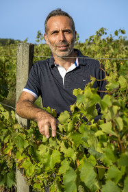 France, Charente-Maritime (17), Ile d'Oléron, Saint-Pierre-d'Oléron, hameau de La Coindrie, le vigneron Eric Mage dans son vignoble