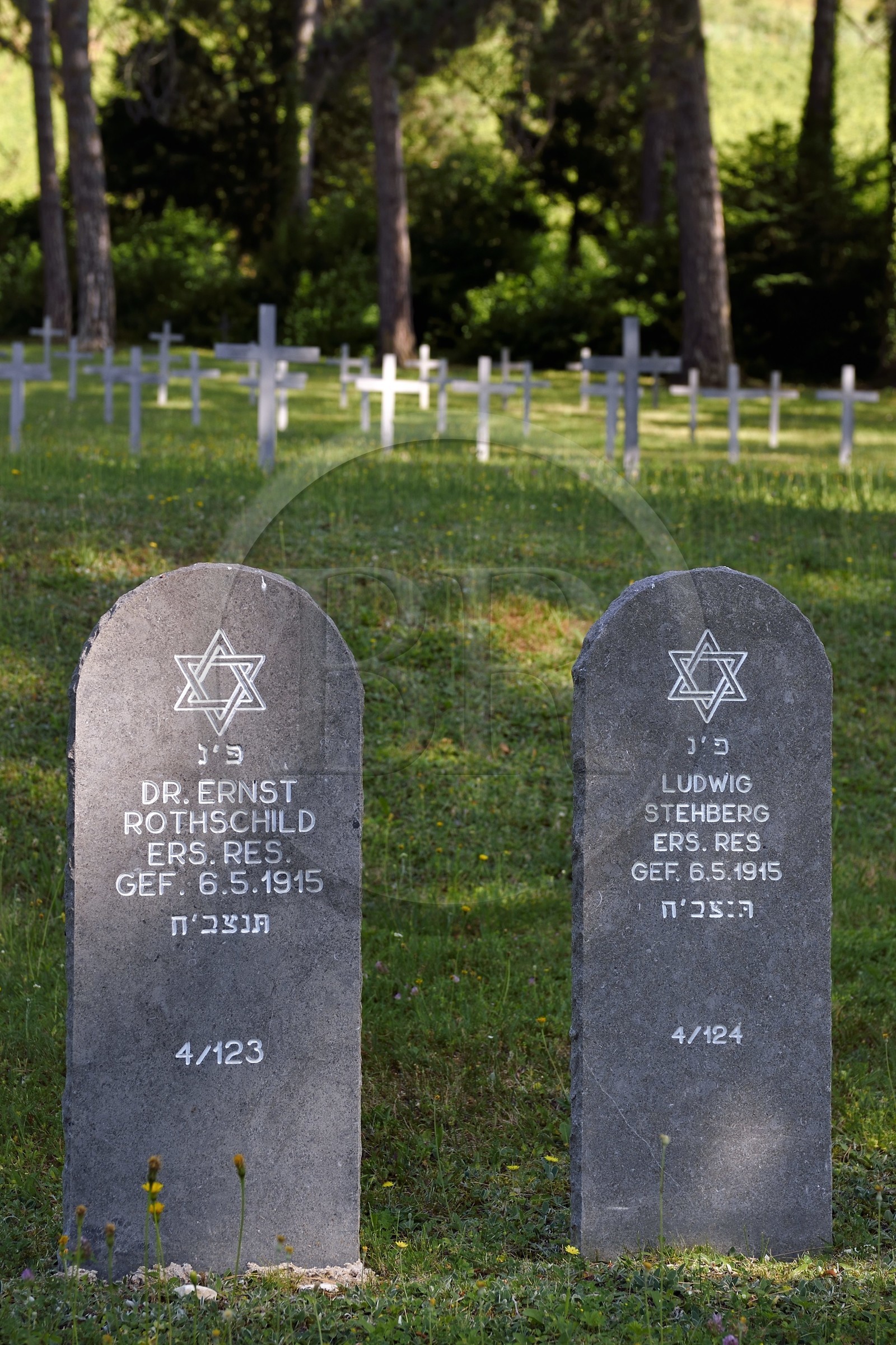 France, Meuse (55), Parc régional de Lorraine, Cotes de Meuse, Viéville-sous-les-Côtes, cimetière militaire allemand de la première guerre mondiale, tombes de soldats juifs