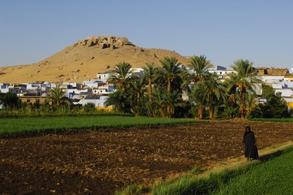 Egypte, Haute Egypte, Nubie, vallée du Nil, Assouan, la rive ouest, village nubien à l'orée du désert