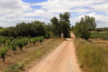 France, Hérault (34), région de Pinet, la voie Domitienne (Via Domitia) et borne milliaire romaine, tronçon bassin de Thau, en dehors des villes c'est un chemin en terre battue sur des couches stratifiées de gravier et de cailloutis