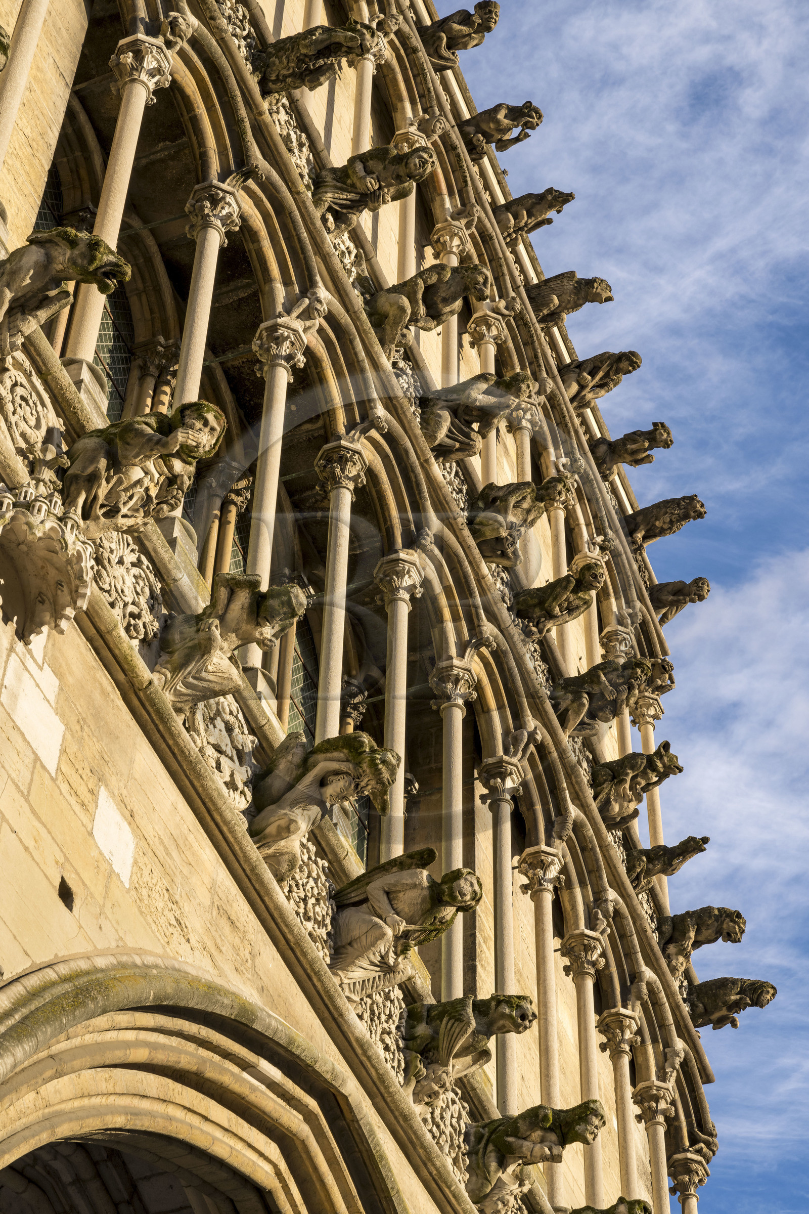 France, Côte-d'Or (21), Dijon, zone classée Patrimoine Mondial de l'UNESCO, église Notre Dame, gargouilles en facade