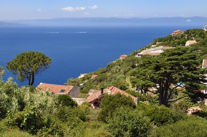France, Var (83), Iles d'Hyères, Parc national de Port Cros, Ile du Levant, domaine naturiste d'Héliopolis, villas avec vue sur le continent