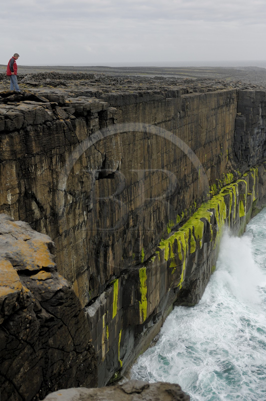 Irlande, Comté de Galway, Aran Islands, Inishmaan, les falaises au sud de l'ile