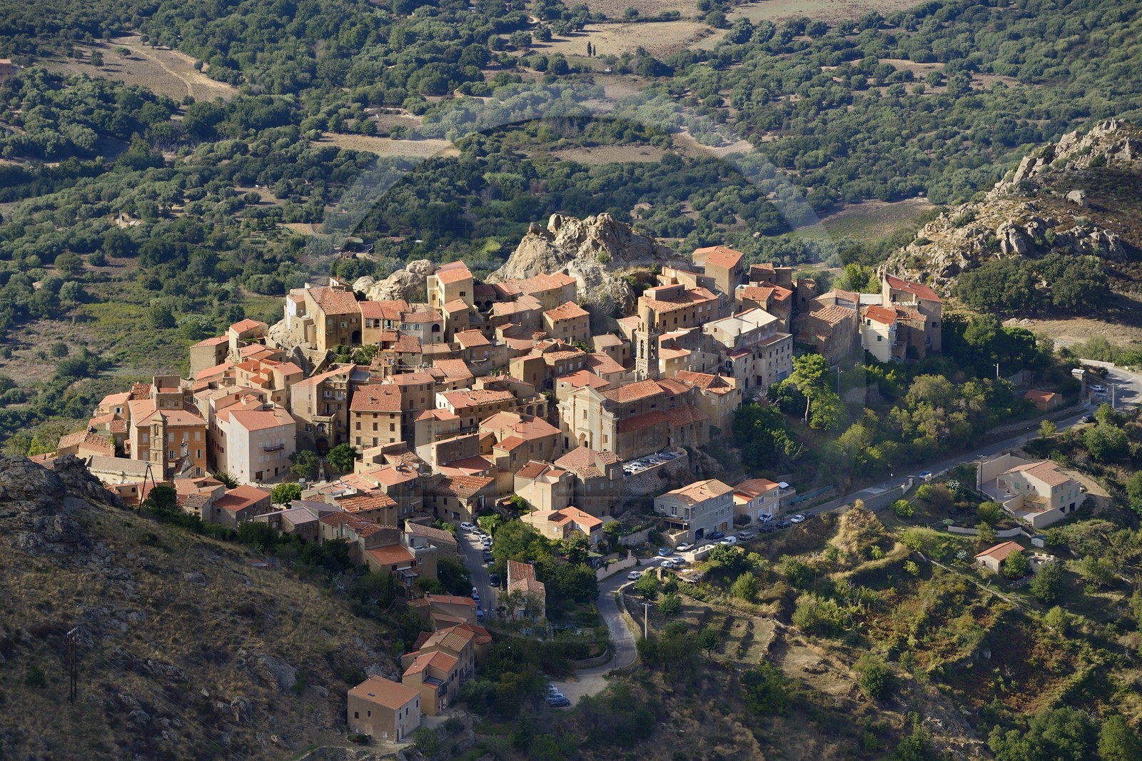 France, Haute-Corse (2B), Balagne, village perché de Speloncato