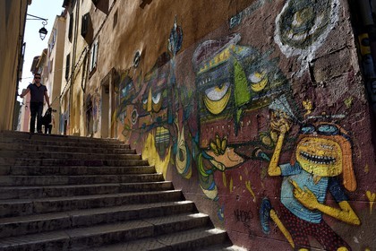 France, Bouches du Rhone, Marseille, Panier district, stairs from the rue des Repenties, graffiti from the Undartground concept store, work of street Brazilian artist Nhobi