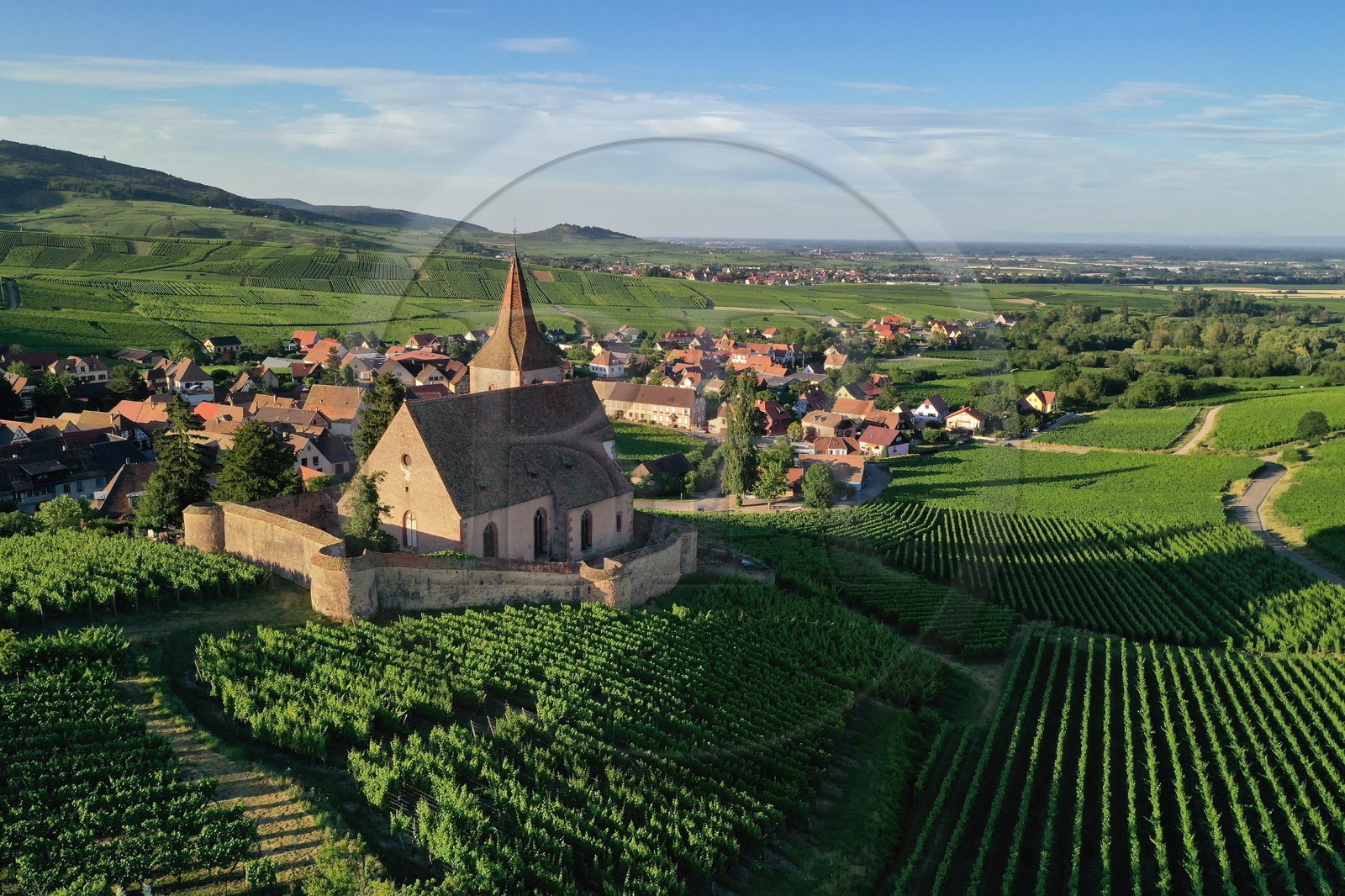 France, Haut-Rhin (68), Route des vins d'Alsace, Hunawihr, labellis