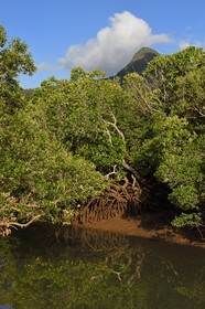 France, Mayotte island (French overseas department), Grande-Terre, Kani-Keli, the Kani-Be mangrove, Mount Choungui in the background