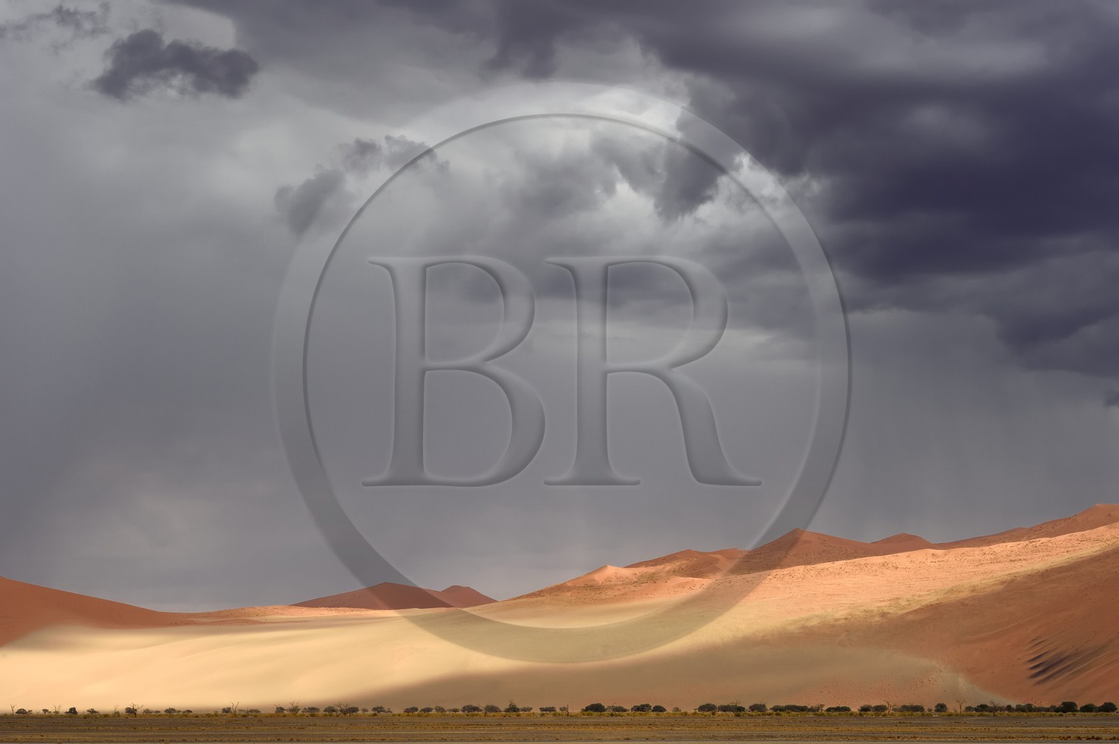 Namibie, région d'Hardap, désert du Namib, parc national du Namib-Naukluft, Erg du Namib classé Patrimoine Mondial de l'UNESCO, dunes de Sossusvlei