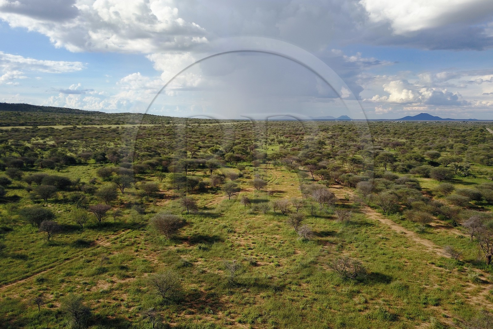 Namibie, région de Otjozondjupa, le bush namibien vers Kalkfeld (vue aérienne) Namibie, région de Otjozondjupa, le bush namibien vers Kalkfeld (vue aérienne)
