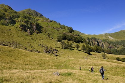 France, Cantal (15), monts du Cantal, Parc Naturel Régional des Volcans d' Auvergne, randonnée au pied de la montagne du Puy-Mary (1783m)