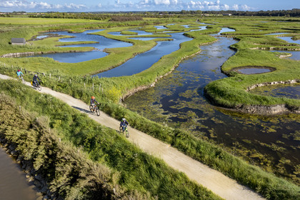 France, Vendée (85), Talmont-Saint-Hilaire, marais de la Guittière dans l'arrière pays de la Pointe du Payré, cycliste sur la piste de la véloroute Vendée Vélo Tour et Vélodyssée au passage du Cul d’Ane, marais aménagés pour la pisciculture de dorades, mulets et anguilles (vue aérienne)