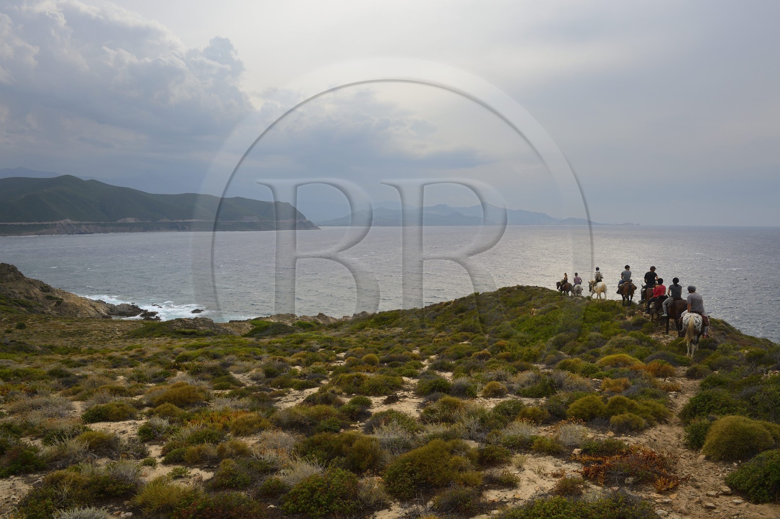 France, Haute-Corse (2B), Nebbio, désert des Agriates, Anse de Peraiola, cavaliers au Nord-Est de la plage d'Ostriconi à la Punta di l’Acciolu (Acciola)