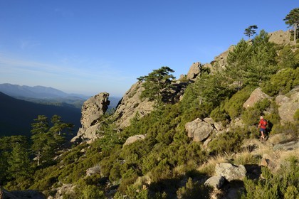France, Corse du Sud, Alta Rocca, Aiguilles de Bavella (Bavella Needles), hikers on the alpine variante of the GR 20 (Grande Randonnée itinerary)