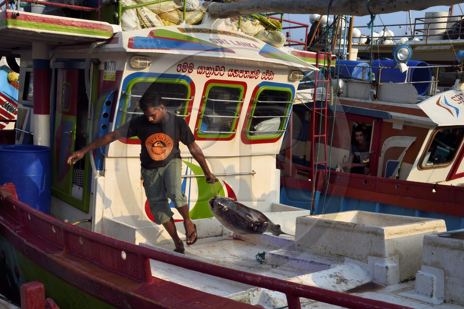Sri Lanka, Province du Sud, Matara (district), Weligama, port de pêche de Mirissa, débarquement du poisson à l'aube