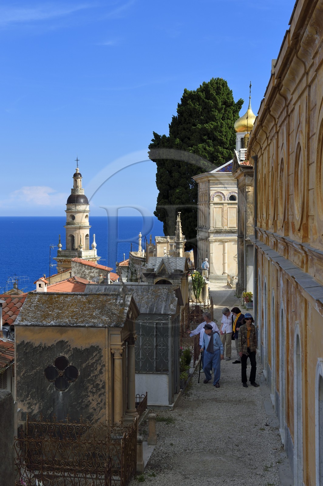 France, Alpes-Maritimes (06), Menton, la vieille ville, le clocher de la basilique Saint-Michel vu du cimetière du Vieux-Chateau, cimetière marin