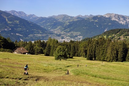 Switzerland, Canton of Vaud, Villars-sur-Ollon, downhill slopes in all terrain scooter (Trottin’Herbe)