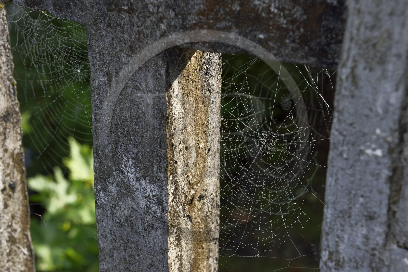 France, Pyrenees Atlantiques, Basque Country, Saint Etienne de Baigorry, cobwebs on the bridge
