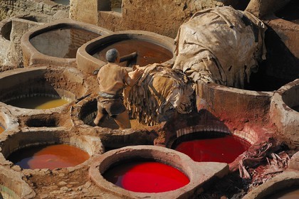 Maroc, Moyen Atlas, Fès, ville impériale, médina classée Patrimoine Mondial de l'UNESCO, Fès el Bali, quartier des tanneurs, Chouara