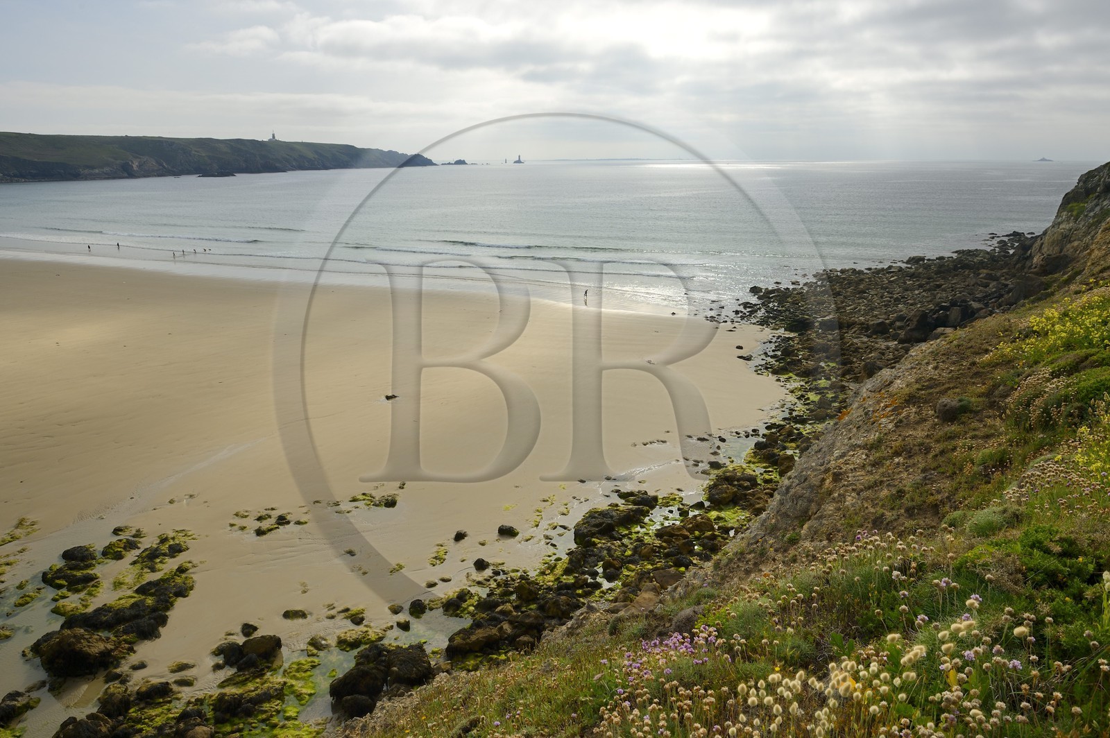 France, Finistère (29),  Mer d'Iroise, Plogoff, plage de la baie des Trépassés et la Pointe du Raz en arrière plan