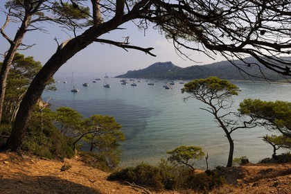 France, Var (83), Iles d'Hyères, parc national de Port-Cros, île de Porquerolles, la Plage Notre Dame