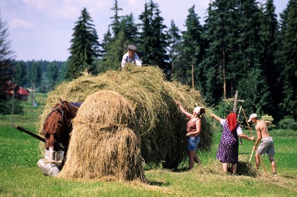 Poland, Lesser Poland, farmers making hay around Debno