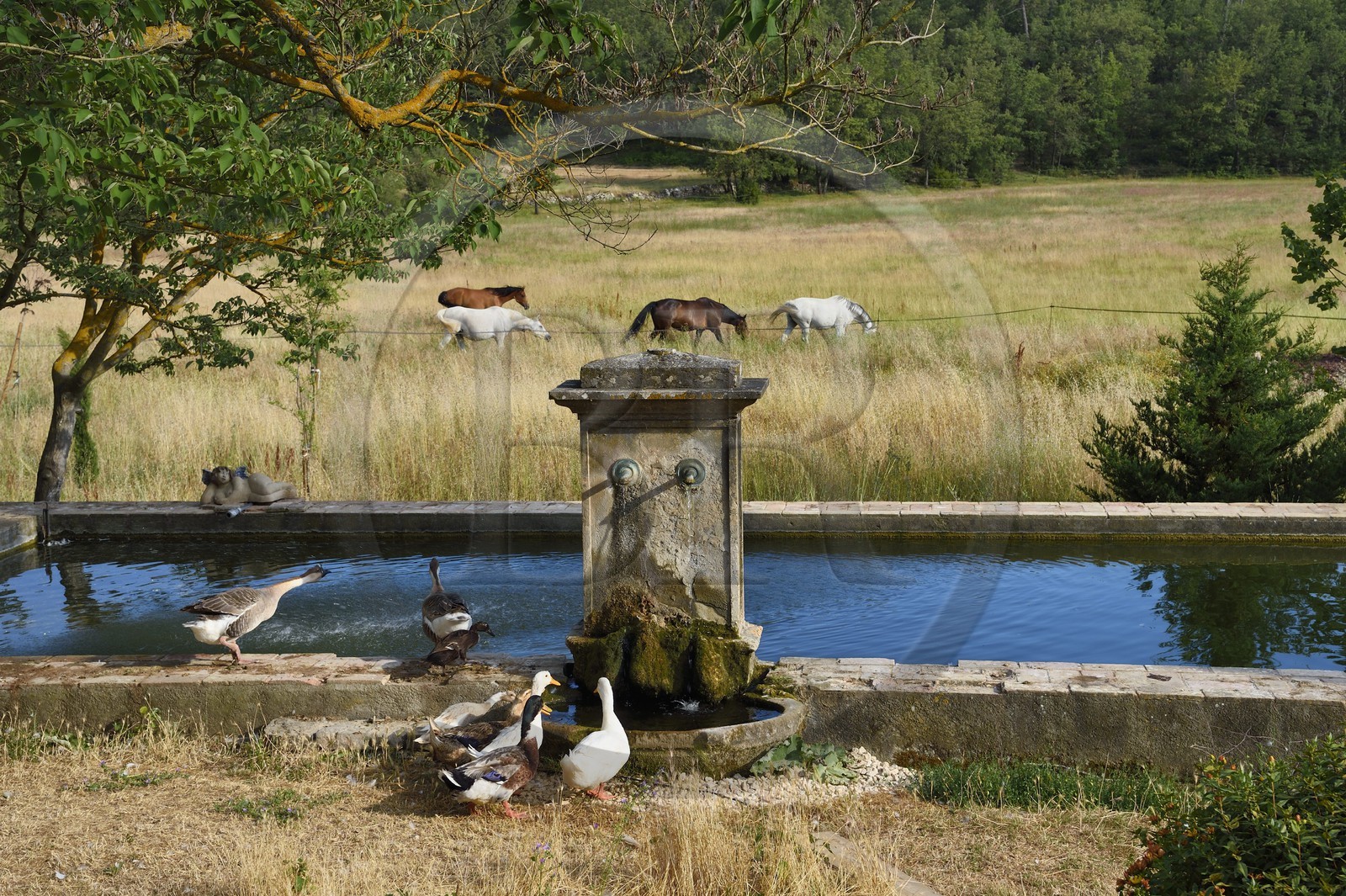 France, Var (83), Provence Verte, Bras, vers Saint-Maximin-la-Sainte-Baume, la maison d'hotes Le Peyrourier - une campagne en Provence