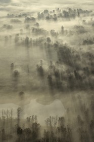 France, Calvados, La Rivière Saint Sauveur, the countryside at the foot of the Pont de Normandie (Normandy Bridge) at dawn