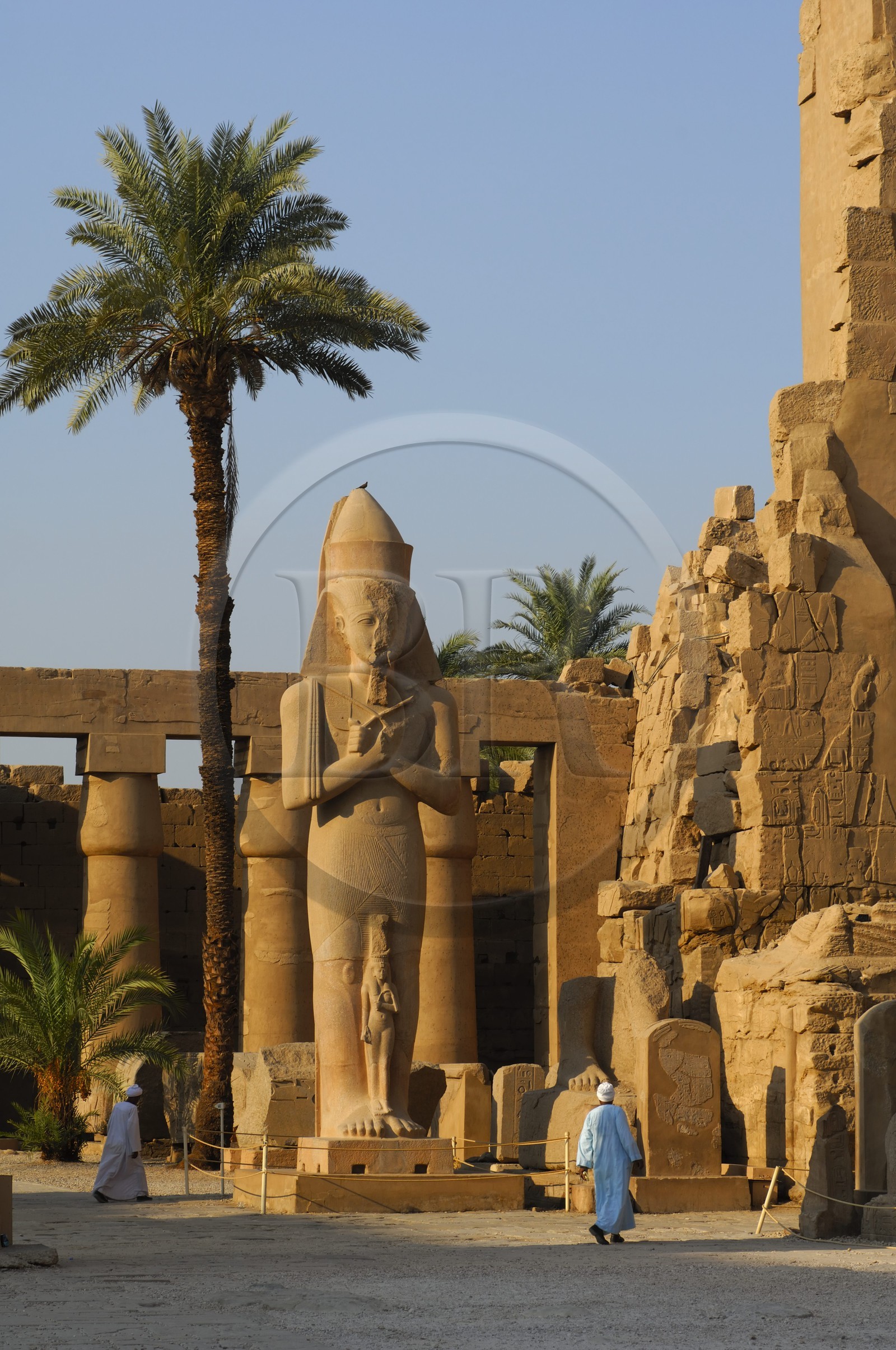 Egypte, Haute Egypte, vallée du Nil, Louxor, Karnak, classé Patrimoine Mondial de l'UNESCO, colosse de Ramses II