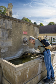 France, Yonne, Cousin River Valley, Pontaubert, the lion fountain