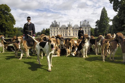 France, Loir-et-Cher (41), château de Cheverny, les piqueux Vol au Vent et La Rosée qui gèrent la meute de 90 chiens de chasse à cour